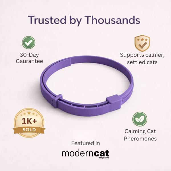 PurrCalm Pheromone Calming Cat Collar