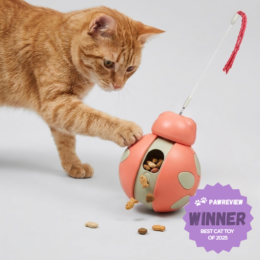 Our Award Winning Home-Alone Cat PawSitter™