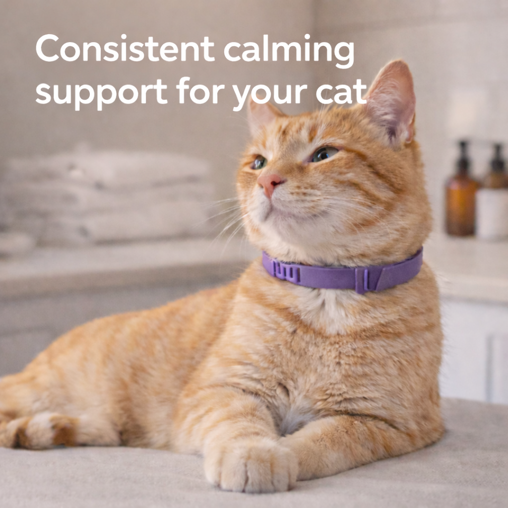 PurrCalm Pheromone Calming Cat Collar
